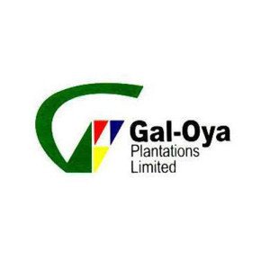 Gal-Oya Plantations (Pvt) Limited